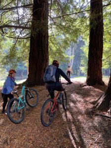 private cycling lessons